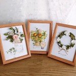 3 Pack Dried Pressed Leaf Flowers for Resin Art