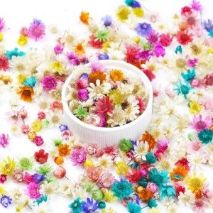 280 PCS Mini Dried Flowers for Resin Art Projects