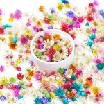 280 PCS Mini Dried Flowers for Resin Art Projects