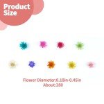 280 PCS Mini Dried Flowers for Resin Art Projects