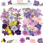 58PCS Dried Pressed Flowers for Resin Art