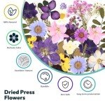 58PCS Dried Pressed Flowers for Resin Art