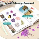 58PCS Dried Pressed Flowers for Resin Art