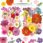 58PCS Dried Pressed Flowers for Resin Art