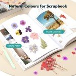 58PCS Dried Pressed Flowers for Resin Art