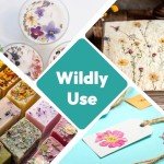 58PCS Dried Pressed Flowers for Resin Art