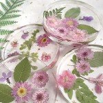 6-Cavity Deep Round Coaster Molds for Resin