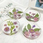 6-Cavity Deep Round Coaster Molds for Resin