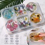 6-Cavity Silicone Molds for Resin Coasters
