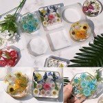 6-Cavity Silicone Molds for Resin Coasters