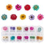 Dried Flower Set for Epoxy Resin Art