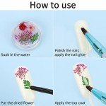 Dried Flower Set for Epoxy Resin Art