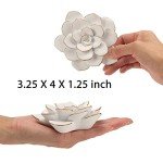 3D Resin Wall Art with Succulents - Home Decor