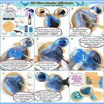 Wood River Edge Coaster Making Kit - 5 Count