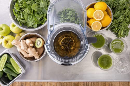 Breville Commercial Juicer, XL Pro