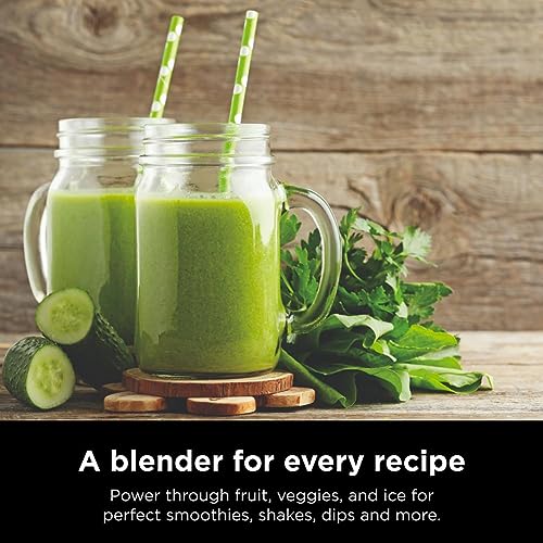 Ninja Professional Countertop Blender with Total Crushing Technology