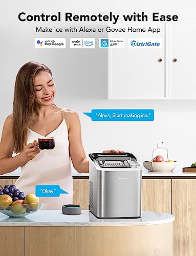 Govee Smart Ice Maker: Portable & Self-Cleaning