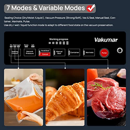 Food Vacuum Sealer with LED Indicator