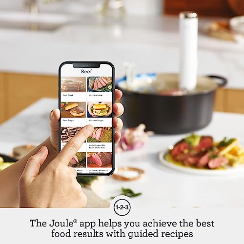 Breville the Joule Turbo Sous Vide, BSV600