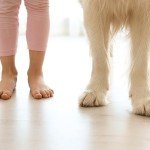 QuietWalk LV Underlayment for Vinyl and Laminate