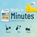 Black Diamond Floor Cleaner Spray - 1 Gallon