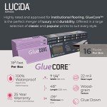 Lucida Luxury Vinyl Flooring Adhesive Tiles - 39 Sq Ft