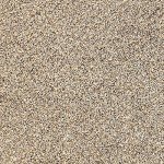 Northern Lights Peel and Stick Carpet Tiles (10-Pack)