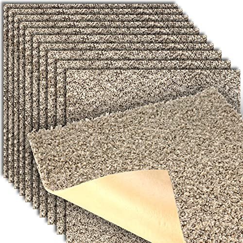 Plush Carpet