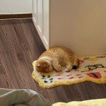 Biyoee Peel and Stick Vinyl Floor Tiles 12-Pack