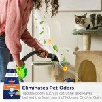 BISSELL® Spot & Stain Cleaner with Febreze & Gain
