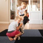 10 Pack Peel and Stick Carpet Tiles 24"x24