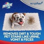 Pet Stain and Odor Carpet Steam Cleaner Solution