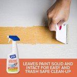 Motsenbocker's Lift Off Water-Based Paint Remover 22 Oz