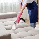 Carpet Vacuum Extractor Attachment for Shop Vacs