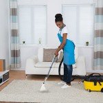 Carpet Vacuum Extractor Attachment for Shop Vacs