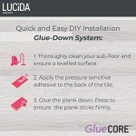 Lucida Surfaces Luxury Vinyl Glue-Down Flooring Tile