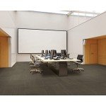 Mohawk Elite 24" Berber Carpet Tile - Raven