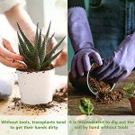 6-Piece Garden Tool Set with Wood Handles