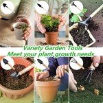 6-Piece Garden Tool Set with Wood Handles