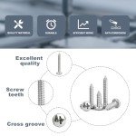 75 PCS Stainless Steel Phillips Wood Screw Set