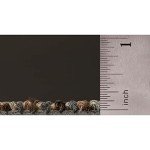 Mohawk Basics 24" Berber Carpet Tile - Neutral