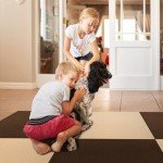 10 Pcs Peel and Stick Carpet Tiles 24"x24