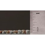 Berber Carpet Tile 24" x 24" - Beige