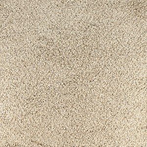 Yellowstone Peel and Stick Carpet Tiles - 10 Pack