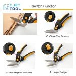 Heavy Duty 10" Scissors for Carpet and More