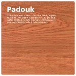 Rubio Monocoat Eco-Friendly Wood Stain & Finish