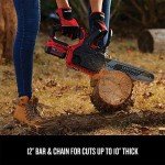 Craftsman V20 12-Inch Cordless Chainsaw Kit