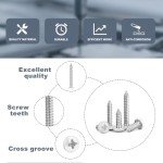 80 PCS Stainless Steel Phillips Wood Screw Set