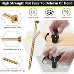 Squeaky Floor Repair Kit with Screws and Tools