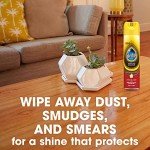 Pledge Revive It Moisturizing Oil - 6 Pack